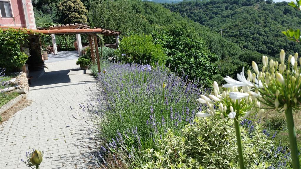 Agriturismo Gocce Di Luna Челе Лигуре Екстериор снимка