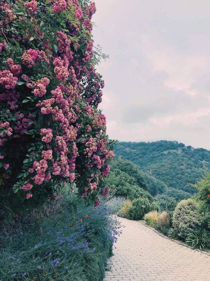 Agriturismo Gocce Di Luna Челе Лигуре Екстериор снимка